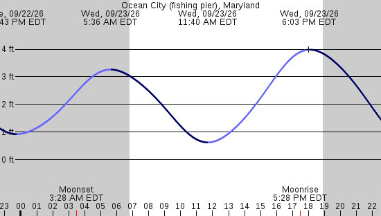 tide graph