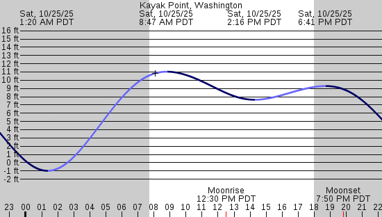 tide graph